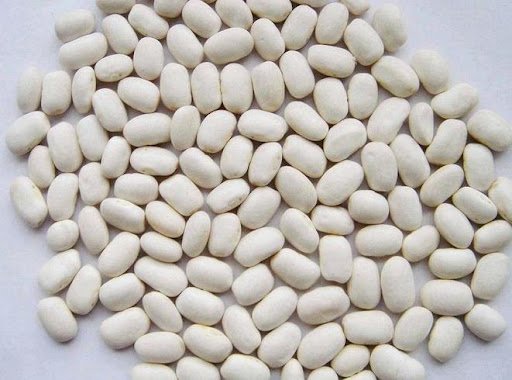 White beans seeds 1 kg